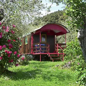  Alloggio per agriturismo Azienda Agricola Della Mezzaluna Italia